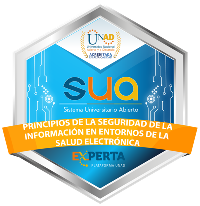 PRINCIPIOS DE LA SEGURIDAD DE LA INFORMACIÓN EN ENTORNOS DE LA SALUD ELECTRÓNICA (154025)