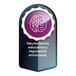 Neurociencia Educativa y Regulación Emocional