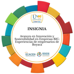 Avances en Innovación y Sostenibilidad en Empresas BIC: Experiencias de empresarios de Boyacá