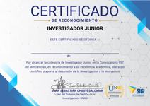 RECONOCIMIENTO – INVESTIGADOR JUNIOR - CONVOCATORIA MINCIENCIAS 957