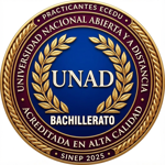 Practicante Facilitador del Aprendizaje SINEP
