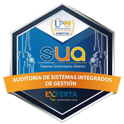 Auditorías de sistemas integrados de gestión - Ed. 3