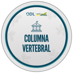 Columna vertebral