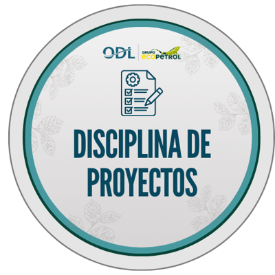 Disciplina de Proyectos