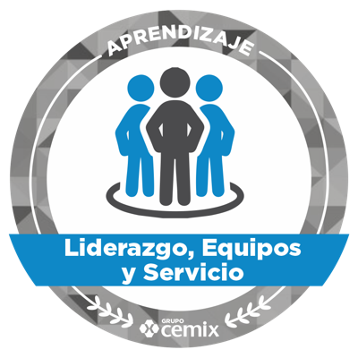 Liderazgo, Equipos y Servicio