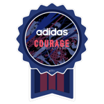 Employee Recognition "Courage"