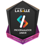 Programador Junior