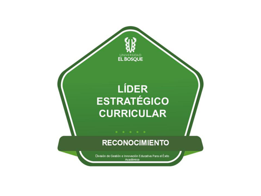 Líder Estratégico Curricular