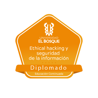 Diplomado Ethical Hacking y Seguridad de la Información