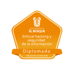 Diplomado Ethical Hacking y Seguridad de la Información