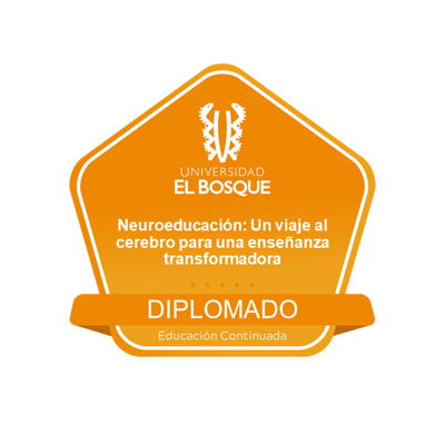 Diplomado en Neuroeducación: un viaje al cerebro para una enseñanza transformadora