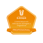 Licenciatura en educación bilingüe y lingüística