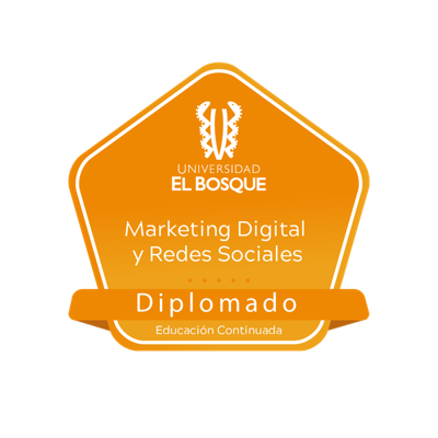Diplomado Marketing Digital y Redes Sociales