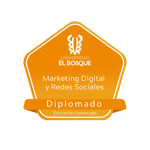 Diplomado Marketing Digital y Redes Sociales