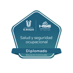 Diplomado en Salud y Seguridad Ocupacional