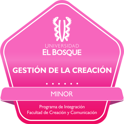 Minor en Gestión de la Creación