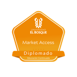 Diplomado Market Access