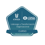 Curso Liderazgo y transformación organizacional