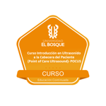 Curso Introducción en ultrasonido a la cabecera del paciente - (Point of Care Ultrasound) - POCUS