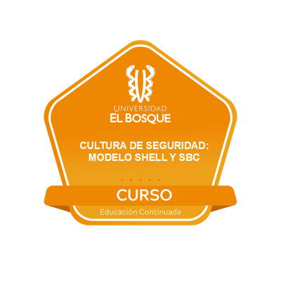 Diplomado en Cultura de la Seguridad, Modelo SHELL y Seguridad Basada en Comportamiento