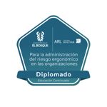 Diplomado Administración del Riesgo Ergonómico en las Organizaciones