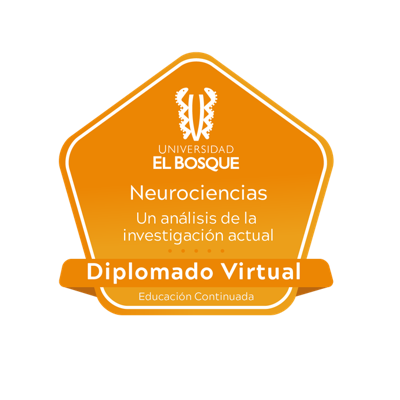 Diplomado en Neurociencias