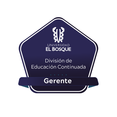 Gerente de Educación Continuada
