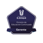 Gerente de Educación Continuada