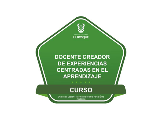 DOCENTE CREADOR DE EXPERIENCIAS CENTRADAS EN EL APRENDIZAJE