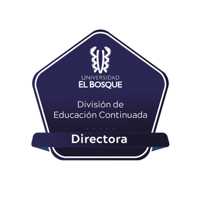 Director de Educación Continuada
