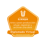 Diplomado Arte y Postproducción: situar, registrar y archivar una obra.