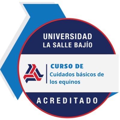 Imagen de la credencial