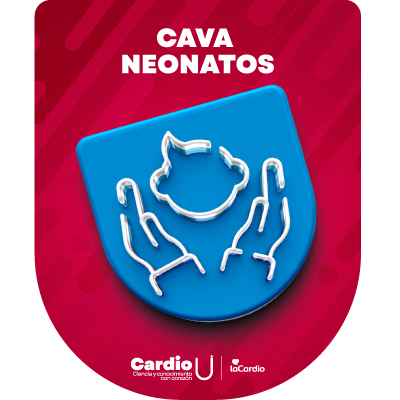 Imagen de la credencial