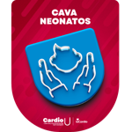 Curso de Accesos Vasculares Avanzado CAVA - Enf Neonatal