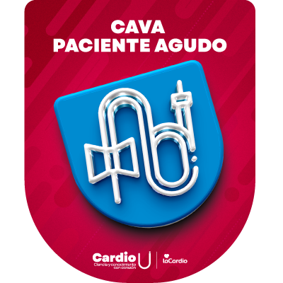 Imagen de la credencial
