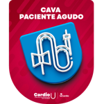 Curso de Accesos Vasculares Avanzado CAVA - Enf. Paciente Agudo