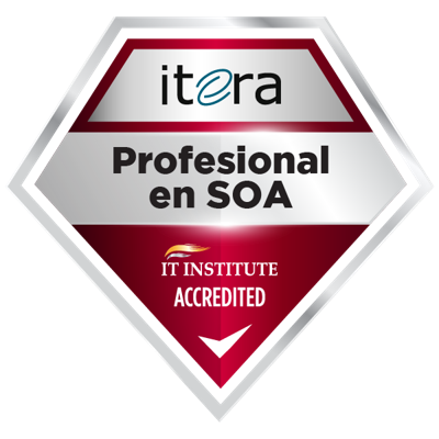 Curso Profesional en SOA