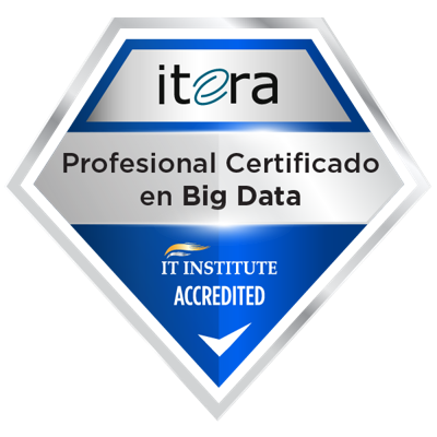 Profesional Certificado en Big Data