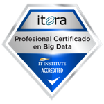 Profesional Certificado en Big Data