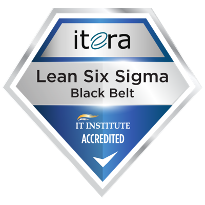 Lean Six Sigma Black Belt