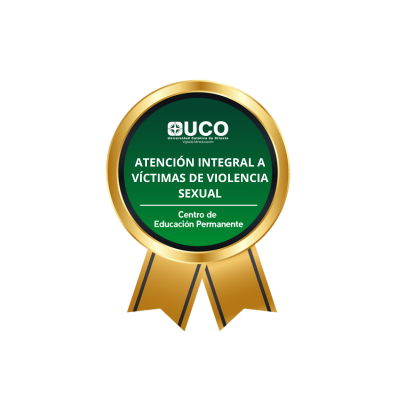 CURSO EN ATENCIÓN INTEGRAL A VÍCTIMAS DE VIOLENCIA SEXUAL