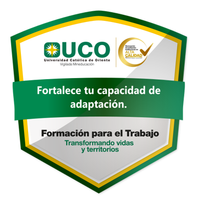 Fortalece tu capacidad de adaptación