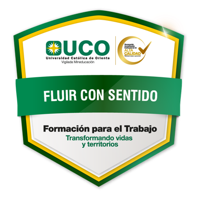Fluir con sentido