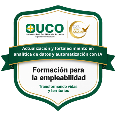 Actualización y fortalecimiento en analítica de datos y automatización con IA