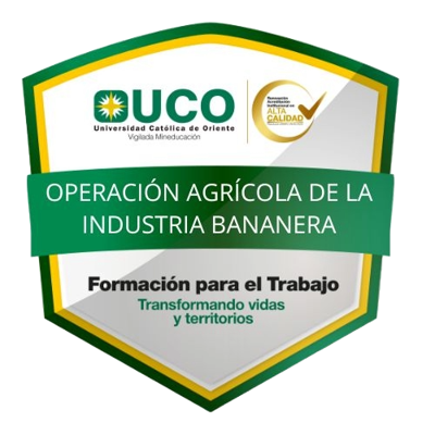 Operación agrícola de la industria bananera.