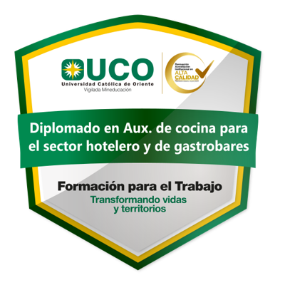 Auxiliar de cocina para el sector hotelero y de gastrobares