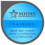 S&OP 360° - Puente entre la estrategia y la ejecución