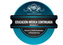 Módulo de Retina y Enfermedades Inflamatorias.