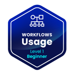 Workflow usage - ES