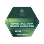 Organiza, analiza y toma decisiones basada en datos